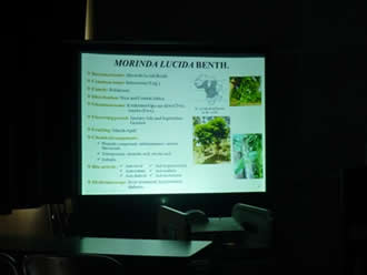 ガーナCentre for Plant Medicine Research (CPMR)